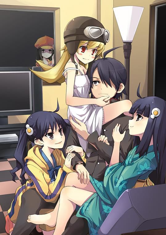 Image of the bakemonogatari series 12