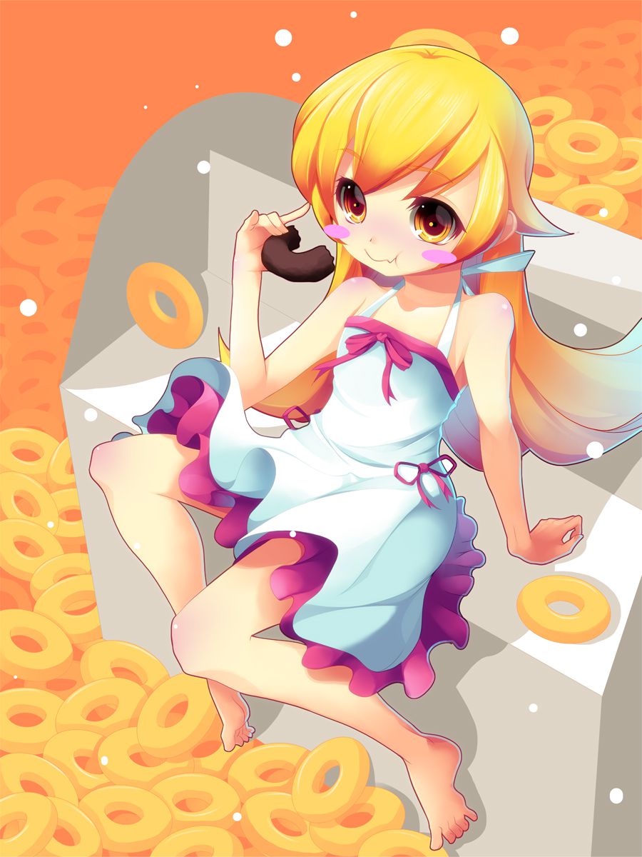 Image of the bakemonogatari series 17