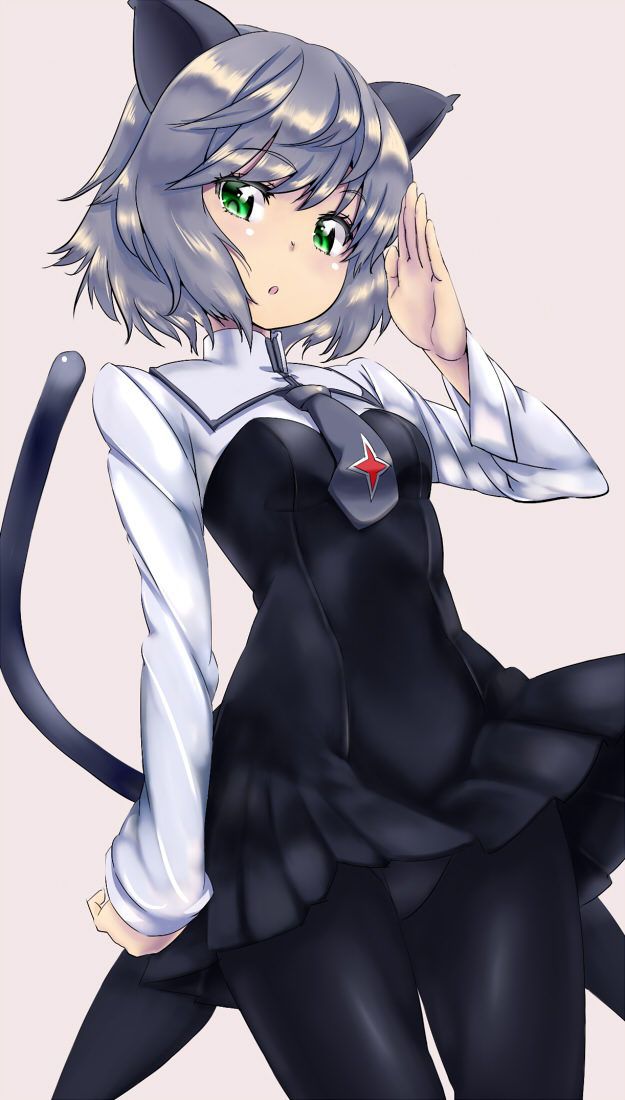 [Strike Witches] Sanya v.Litvyak Erotica or pictures 18