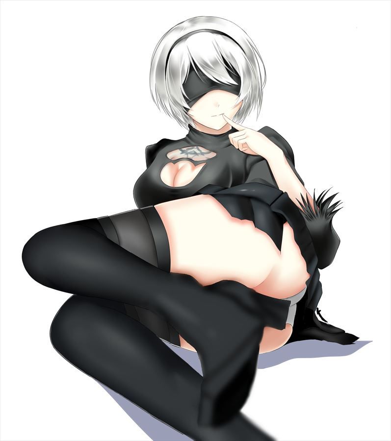 【NieR Automata】2B and Himehame Dense H Secondary erotic images that make you want to do 8