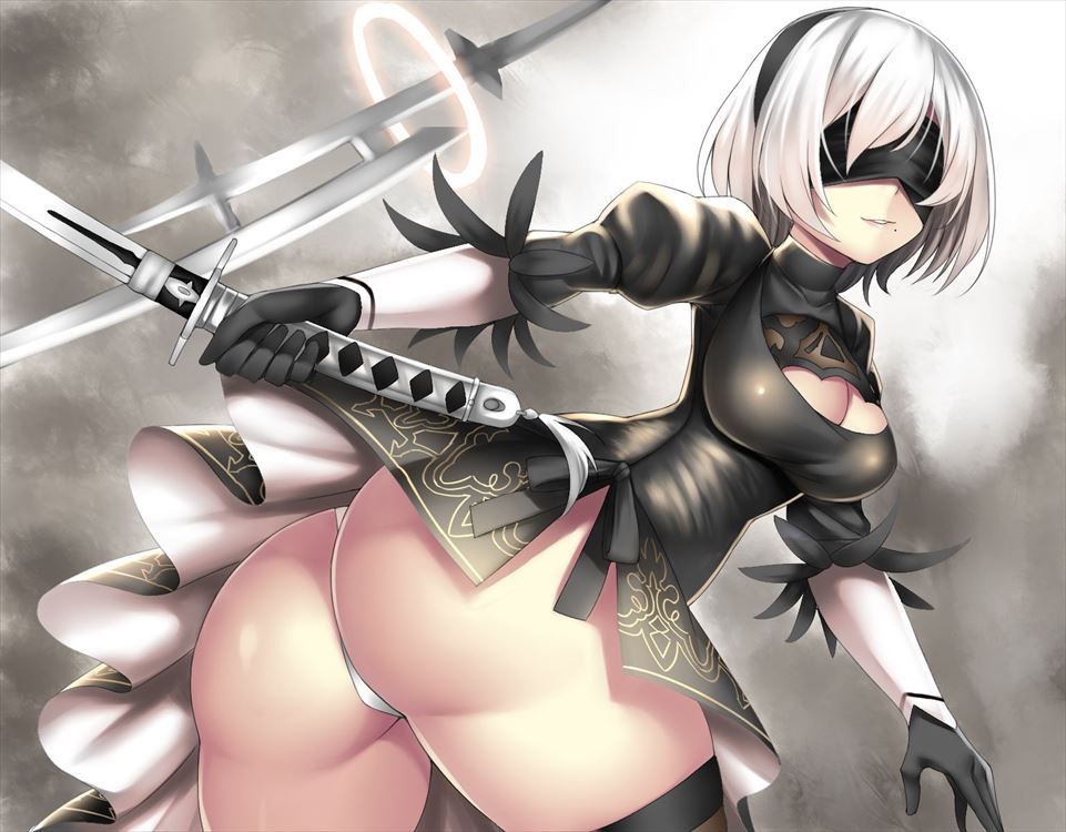 【NieR Automata】2B and Himehame Dense H Secondary erotic images that make you want to do 9
