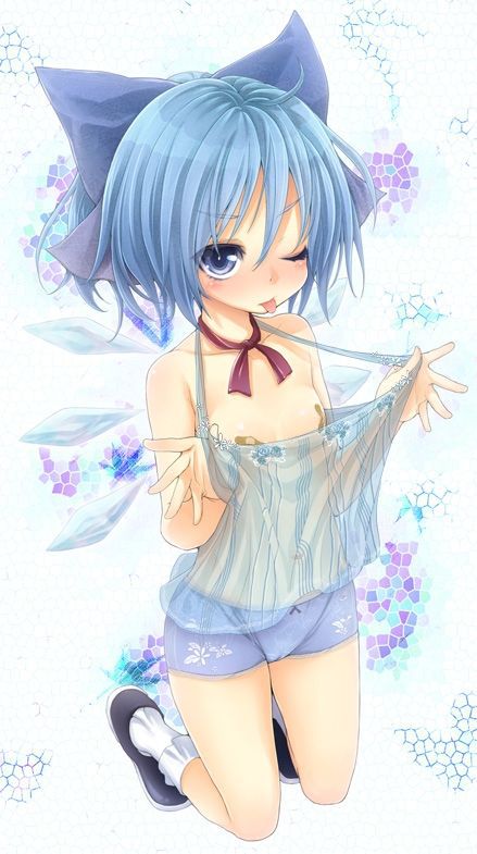 [Touhou Project: cirno erotic pictures! 11