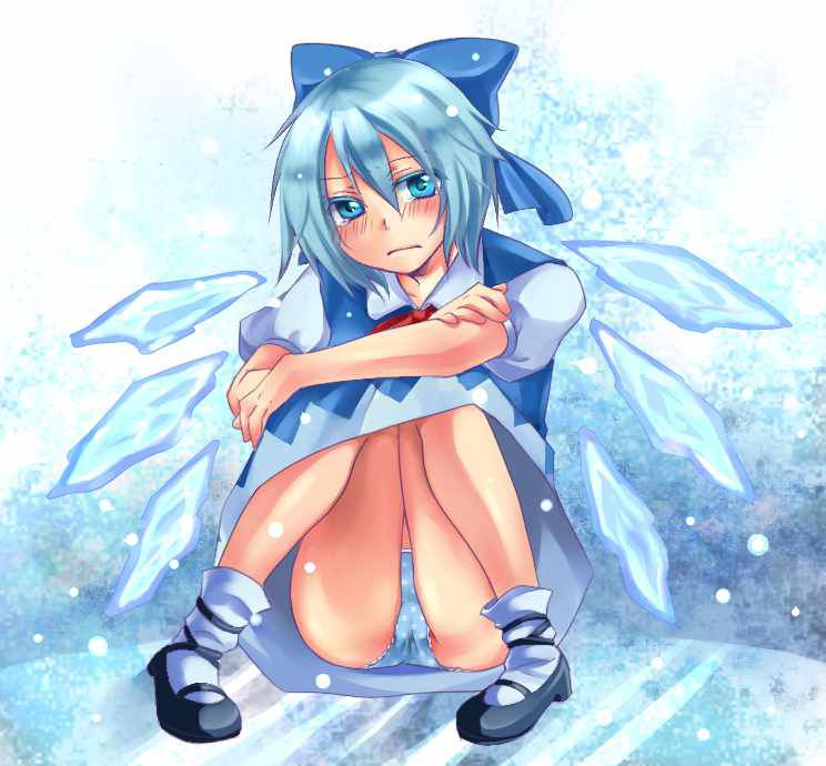 [Touhou Project: cirno erotic pictures! 13