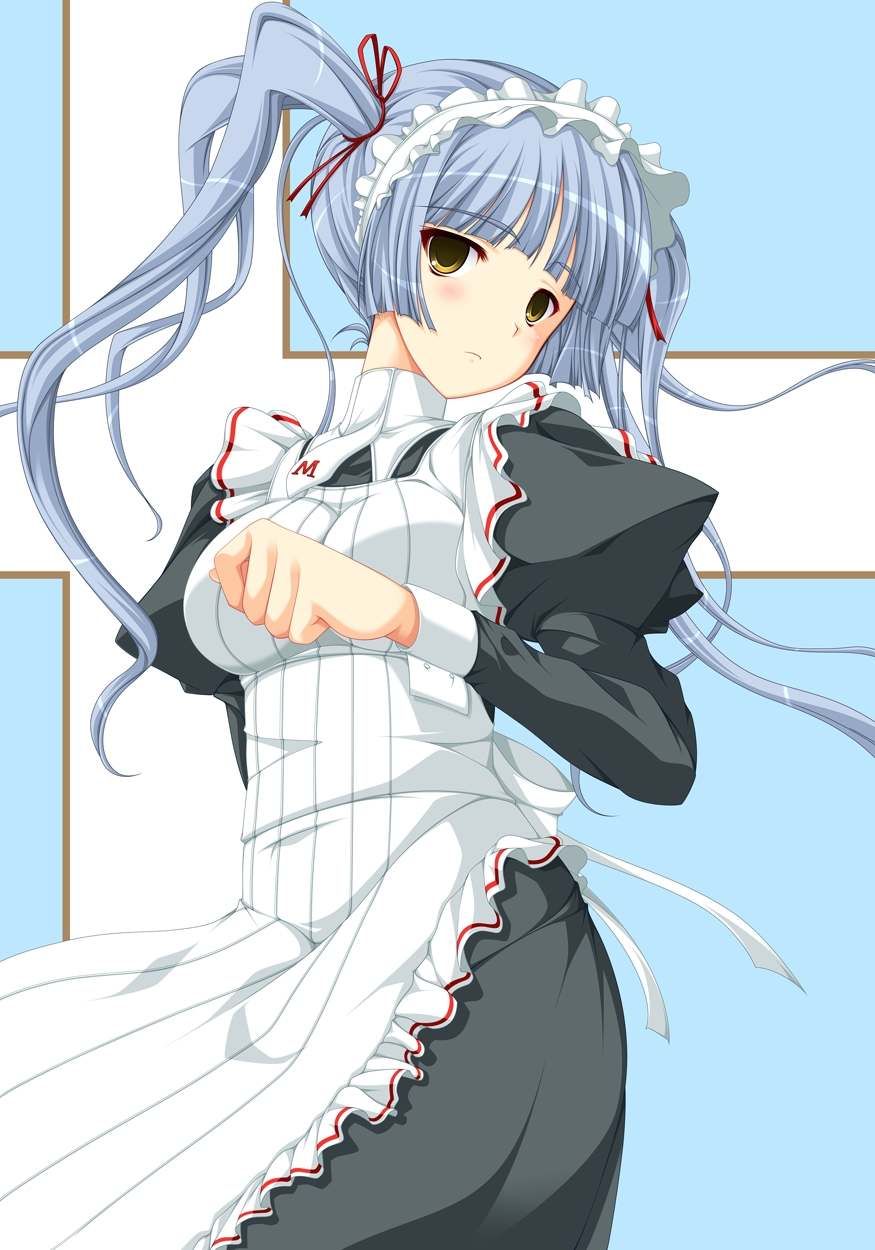 Maid hentai image set 14