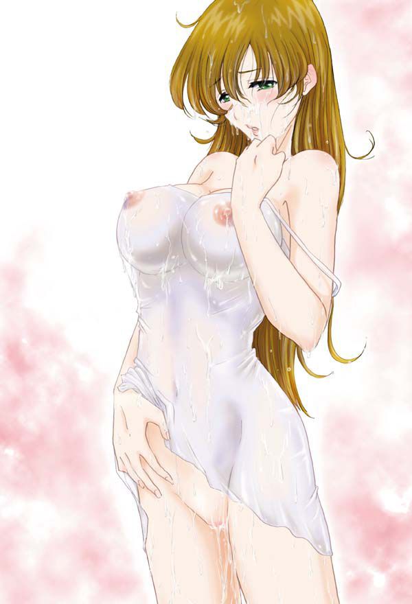 In the Macross series secondary erotic pictures! 12