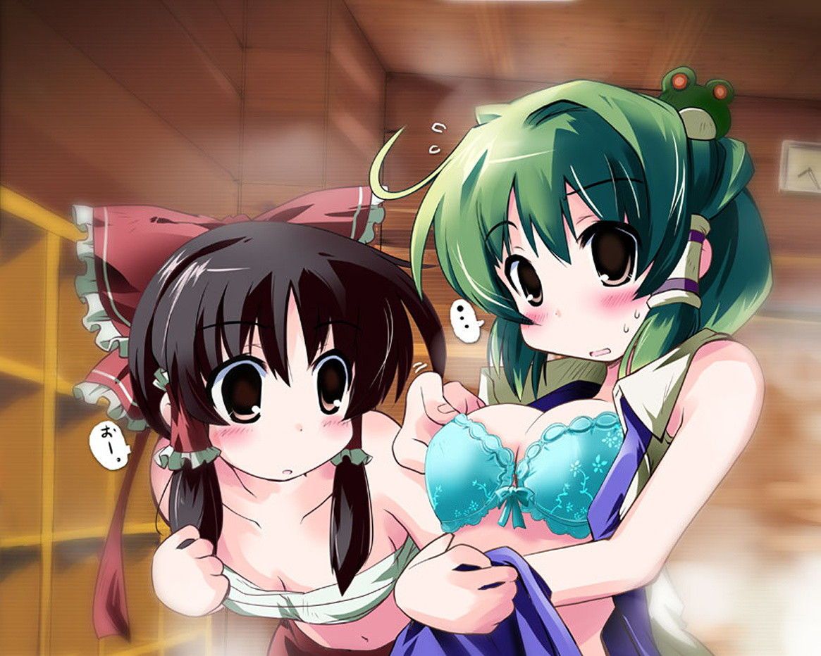 [Touhou Project: SANAE kochiya secondary erotic images! 11