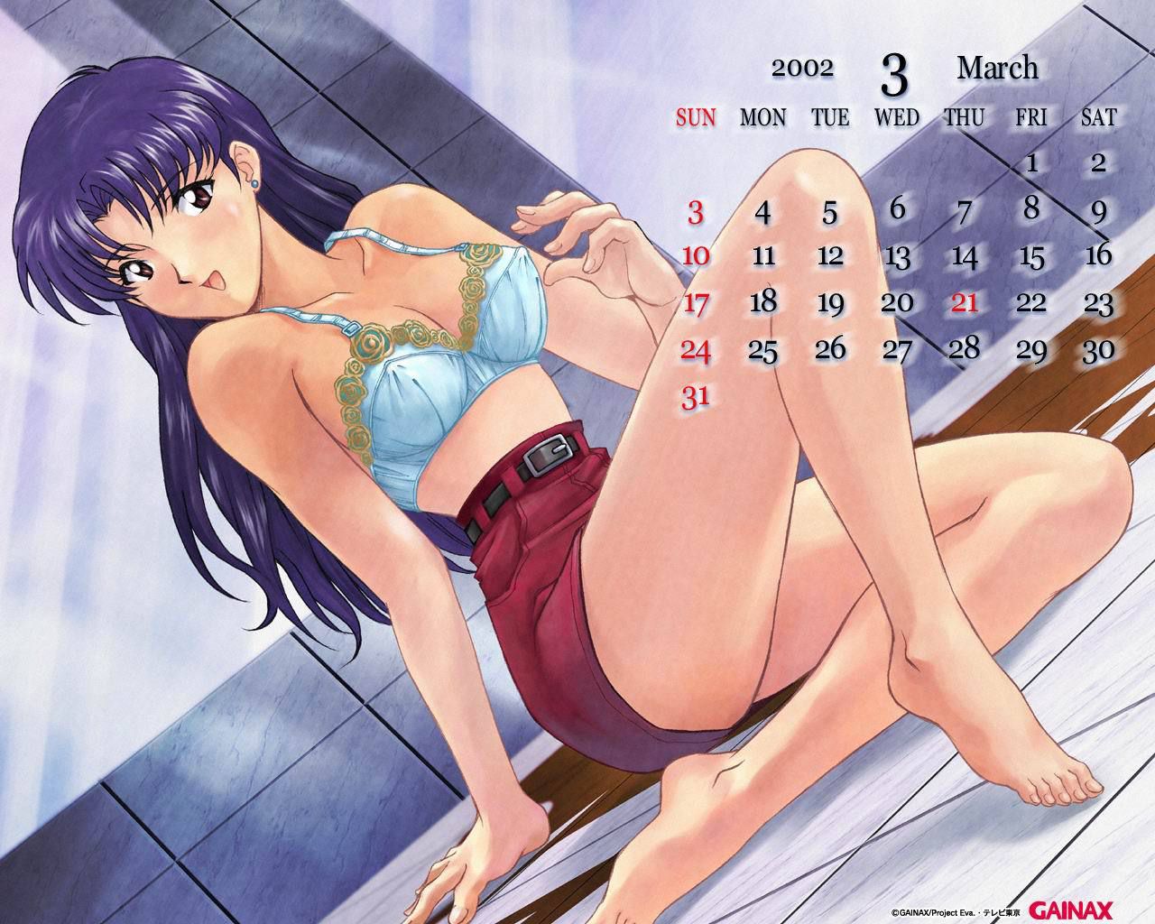 [36 photos] Neon Genesis Evangelion Misato katsuragi erotic pictures! Part 2 3