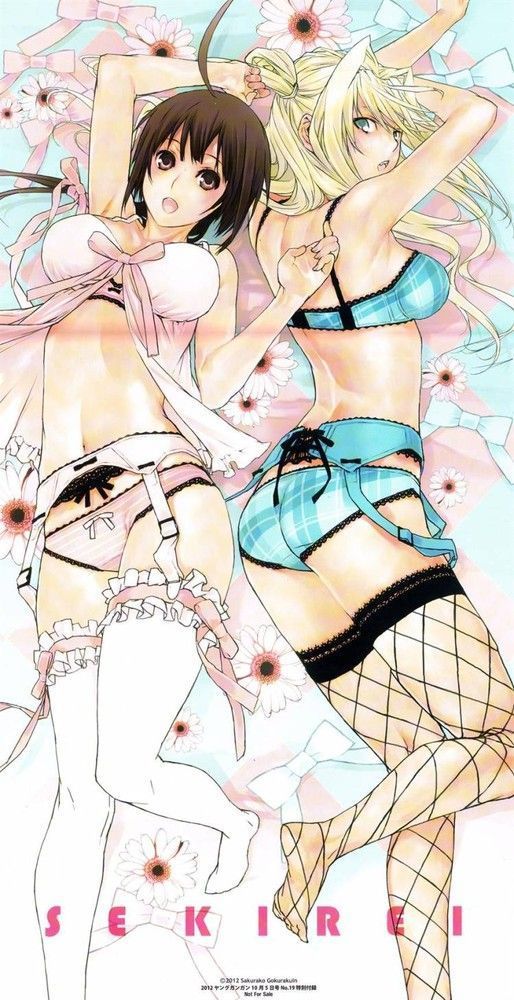 [24 pieces] Sekirei tsukiumi erotic pictures! 13