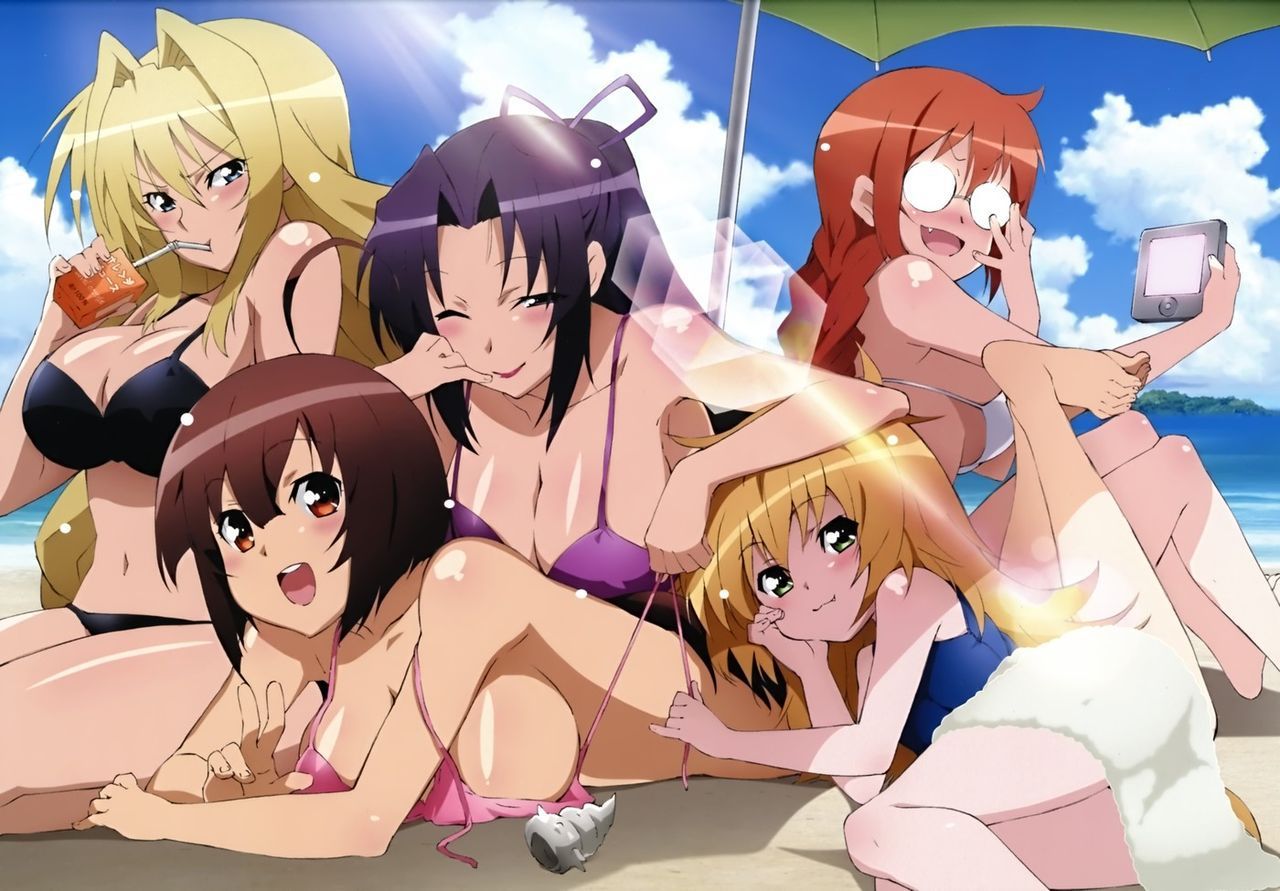 [24 pieces] Sekirei tsukiumi erotic pictures! 14