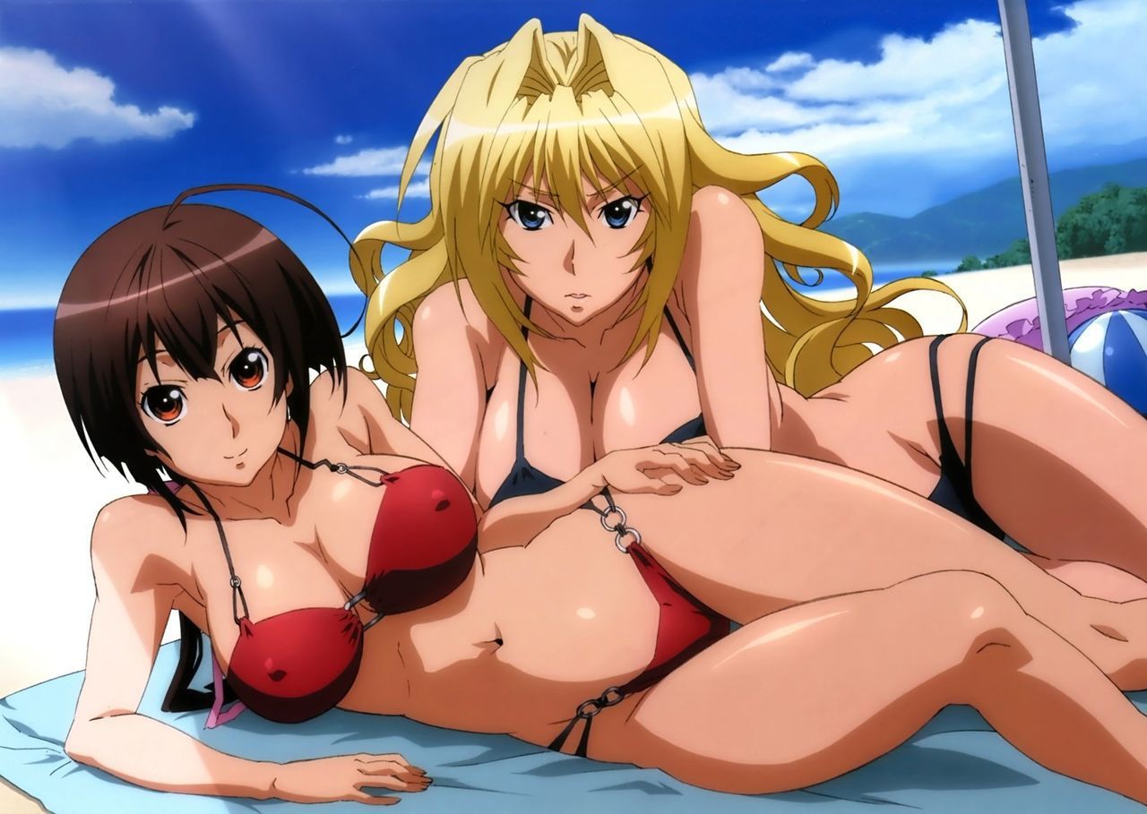 [24 pieces] Sekirei tsukiumi erotic pictures! 15