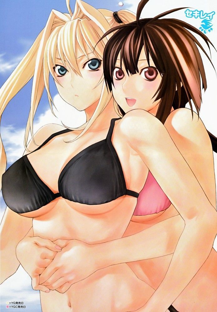 [24 pieces] Sekirei tsukiumi erotic pictures! 17