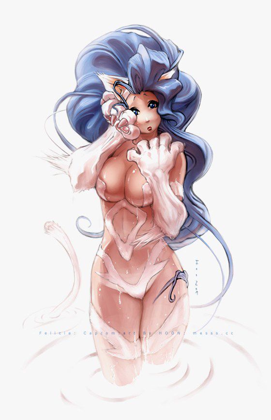 [Street Fighter] 100 Felicia secondary erotic pictures (1) 10