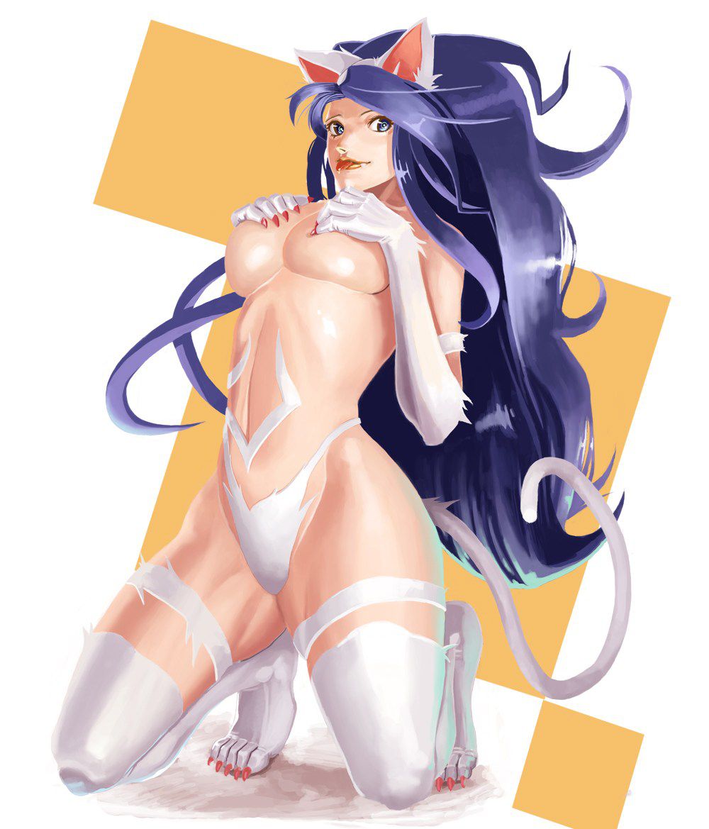 [Street Fighter] 100 Felicia secondary erotic pictures (1) 50