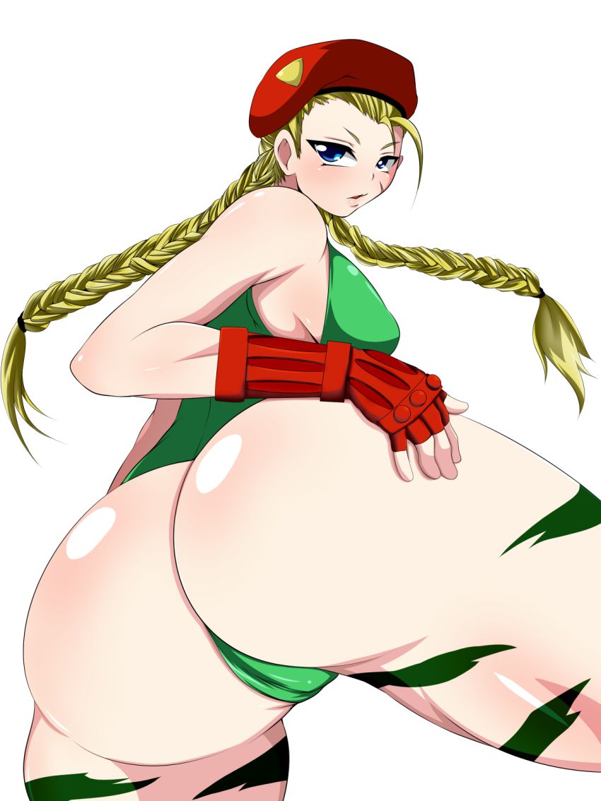 [Street Fighter] Cammy hentai no picture 5