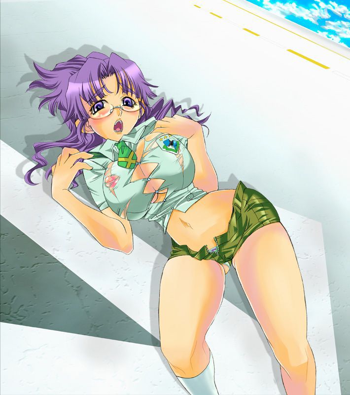Erotic pictures of the Macross series! 14