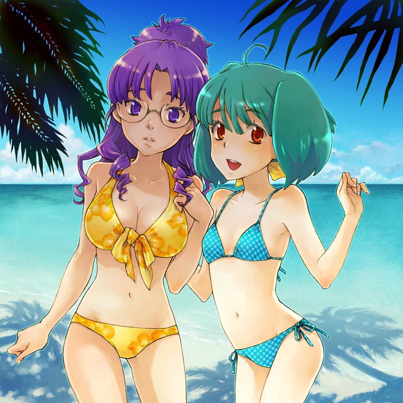 Erotic pictures of the Macross series! 19