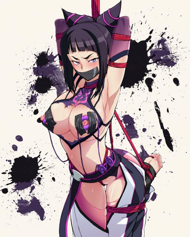 [Street Fighter] why Han JURI hentai babe picture post! 5