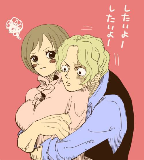 [ONE PIECE] 100 [one piece] Koala secondary erotic pictures 13