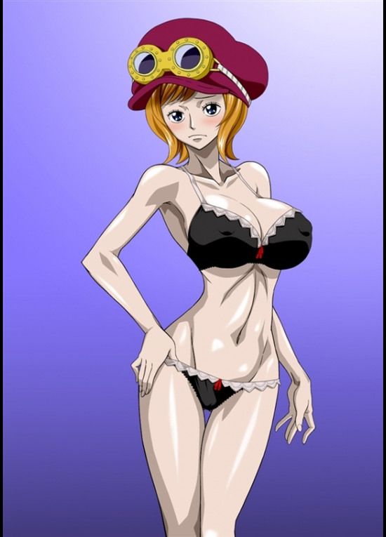 [ONE PIECE] 100 [one piece] Koala secondary erotic pictures 67