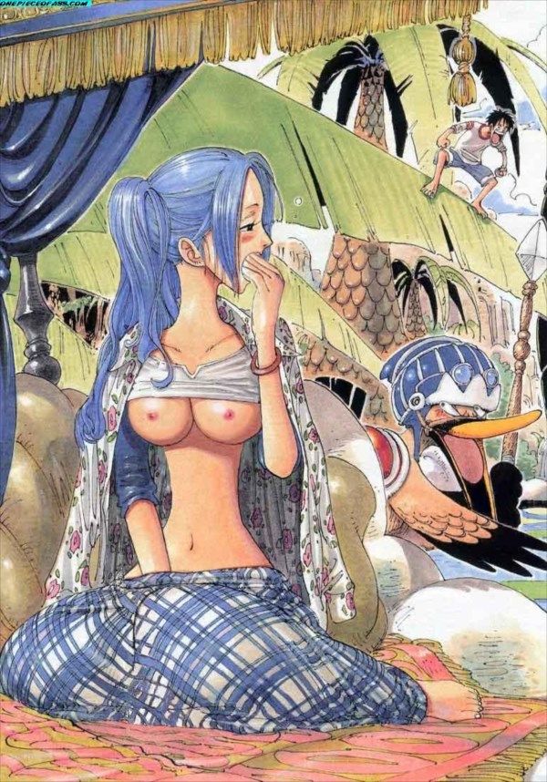 [One piece (ONE PIECE): Nefertari vivi hentai pictures Part2 20