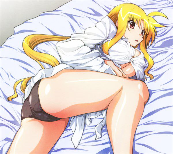 [Magical Girl Lyrical Nanoha] fate Testarossa erotic images Part6 25