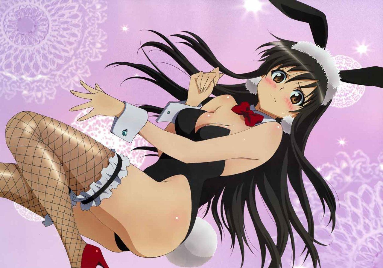 Two-dimensional erotic pictures of the Bunny girl. 14