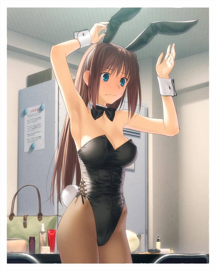 Two-dimensional erotic pictures of the Bunny girl. 15