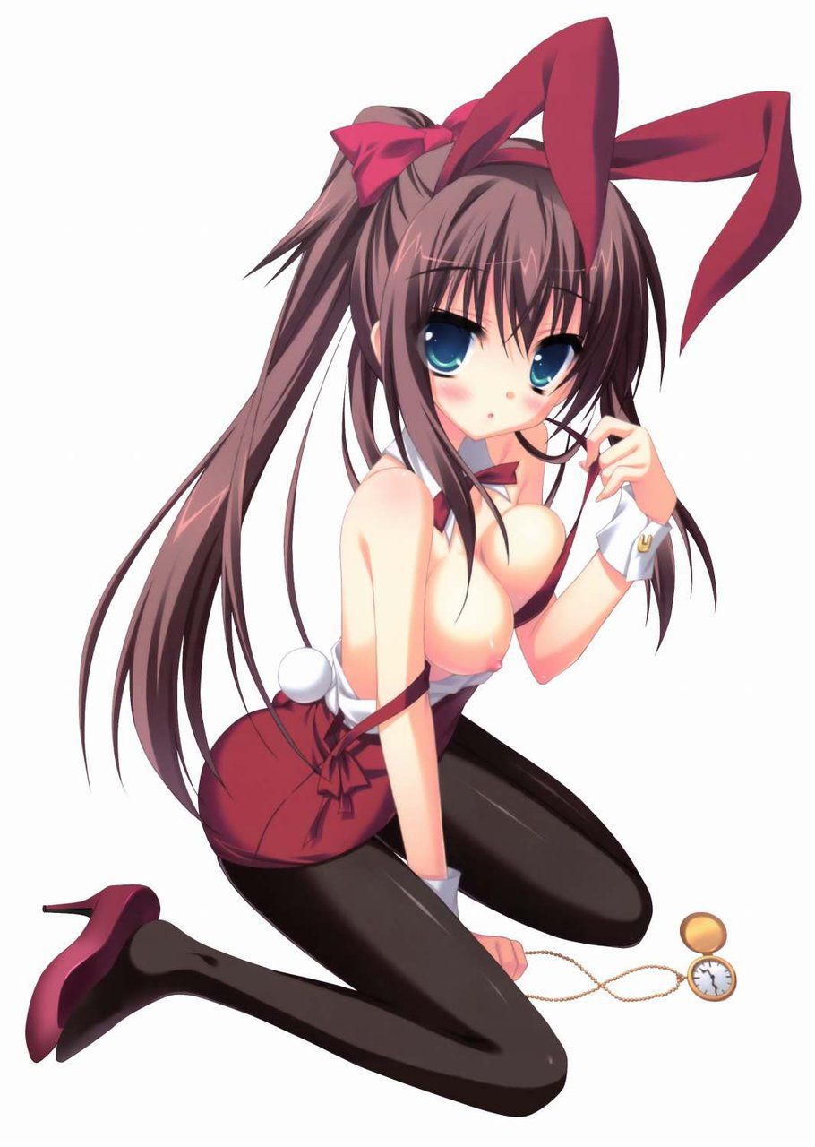 Two-dimensional erotic pictures of the Bunny girl. 2