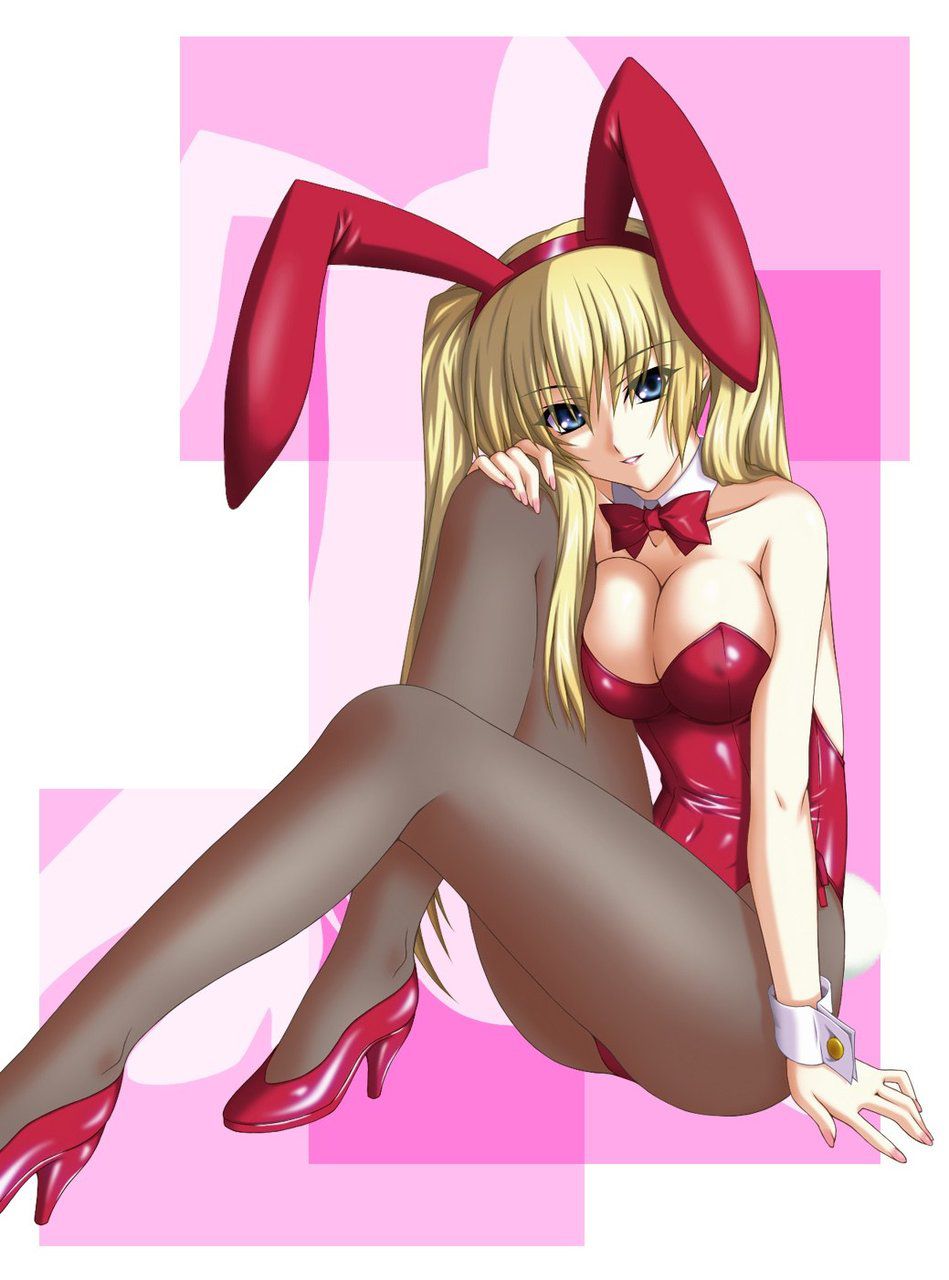 Select images of the Bunny girl! 8