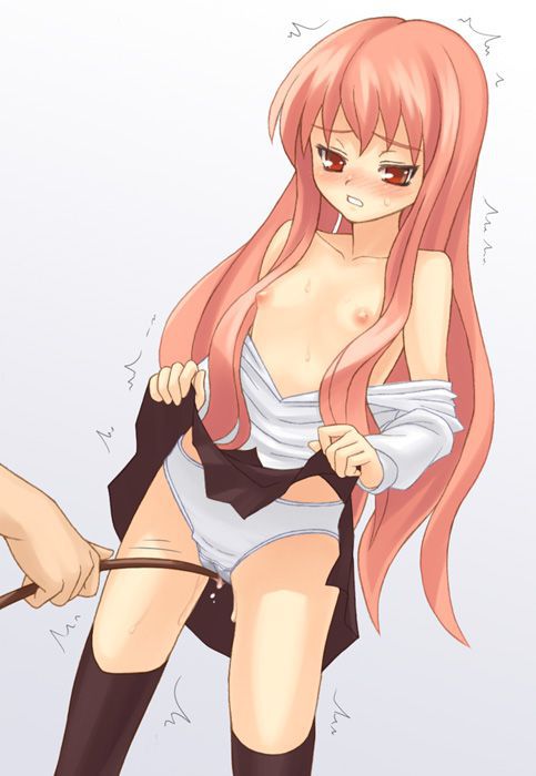 [Zero no tsukaima: Let's put babe Louise erotic images! 19