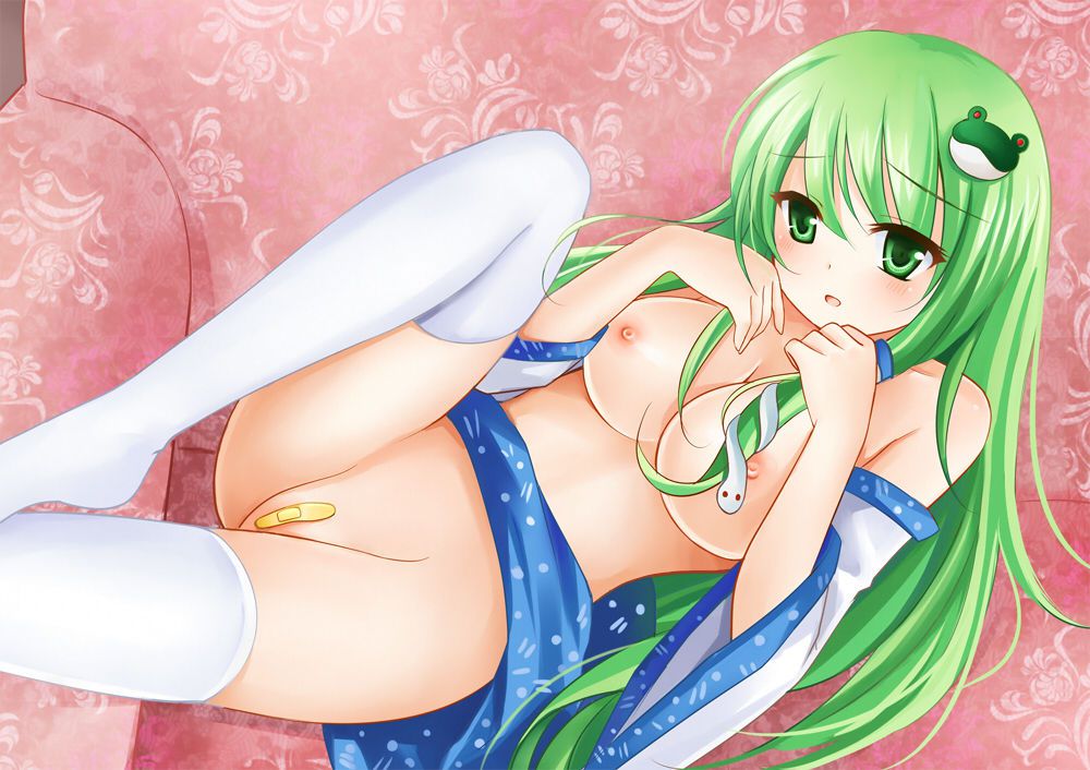 Charm of the touhou Project examined in erotic pictures 16