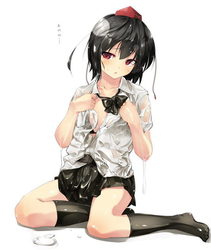 Touhou Project second erotic images Please oh. 4