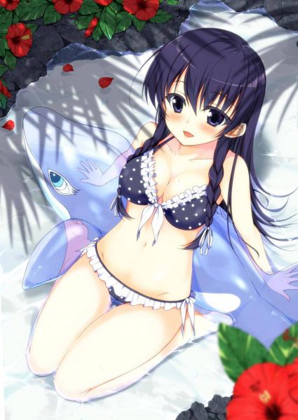 Swimsuit hentai no picture 6