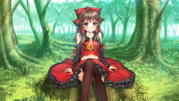 We collected OnNet picture of the touhou Project-! 14