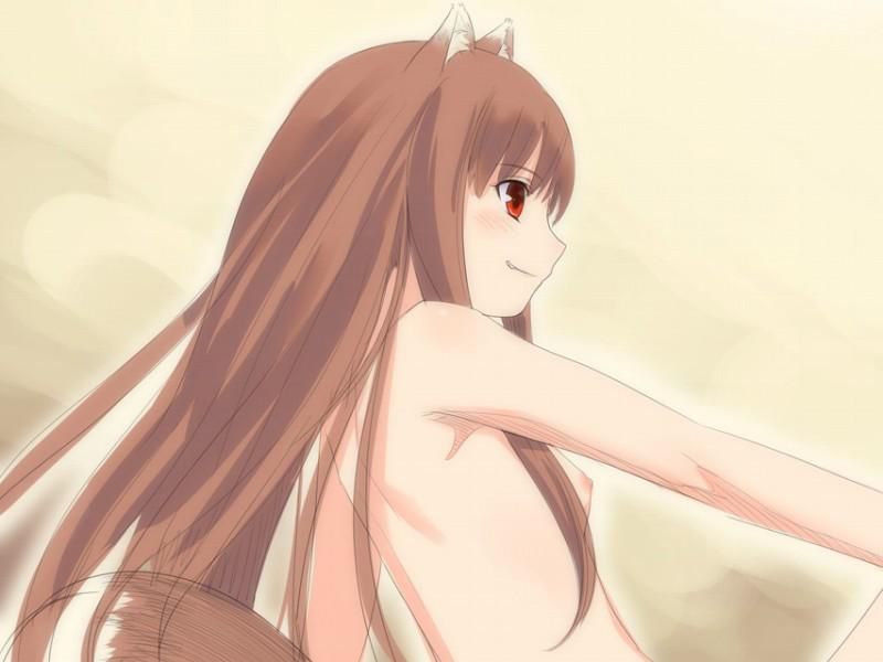 Erotic holo [spice and Wolf] no images 1