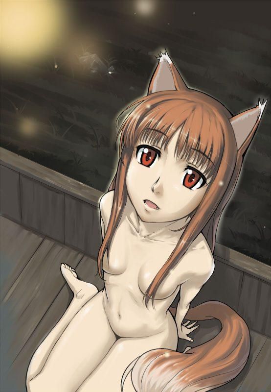 Erotic holo [spice and Wolf] no images 11