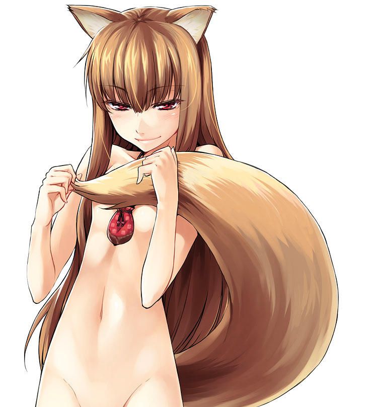 Erotic holo [spice and Wolf] no images 2