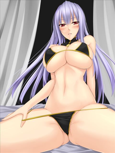 [Second erotic: erotic images of Valkyria Chronicles, part 6 (selvaria BLES) (silver-haired, busty) 26