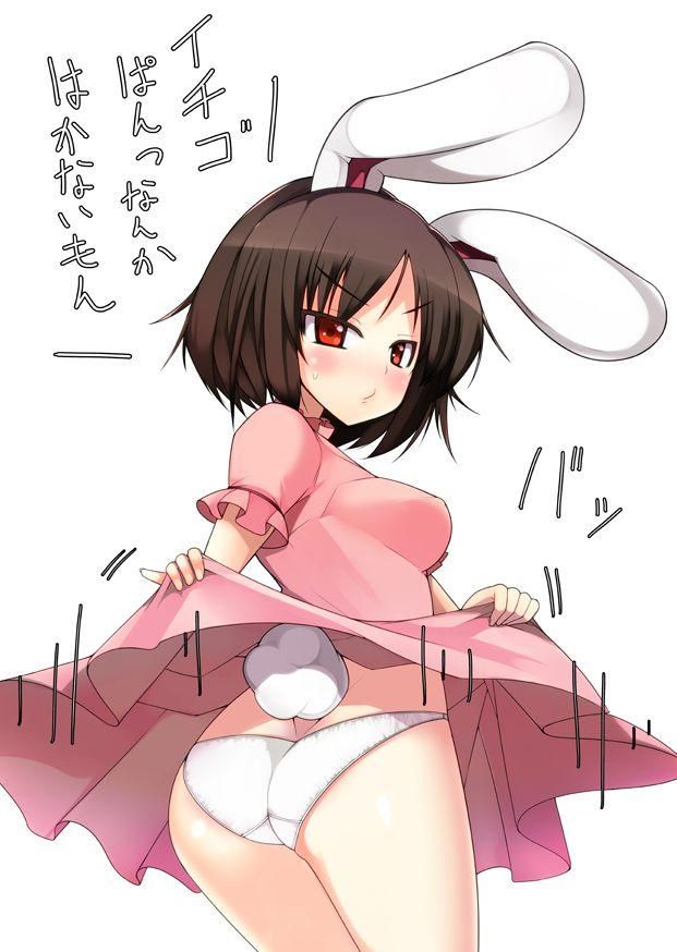 [Touhou Project: Inaba TEWI erotic picture General / 3