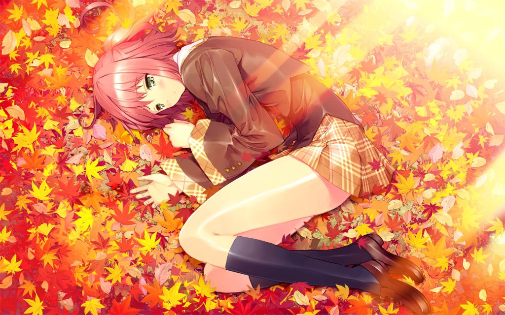 Because it has been cold [second / ZIP] 2: picture of the fall and pretty 27