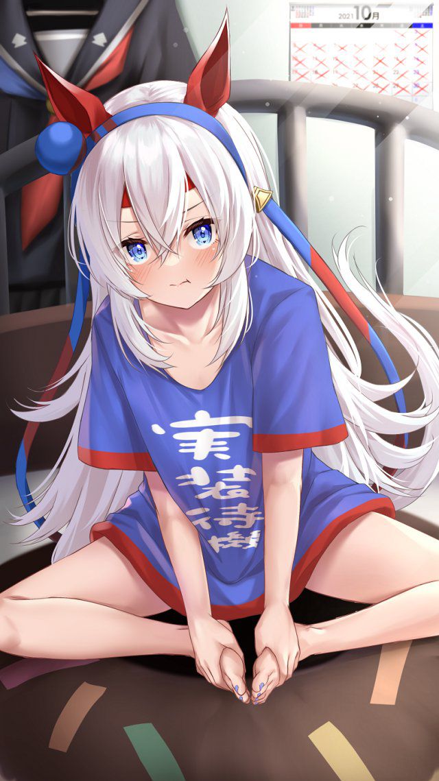 【Secondary】Silver-haired and white-haired girl image Part 29 11