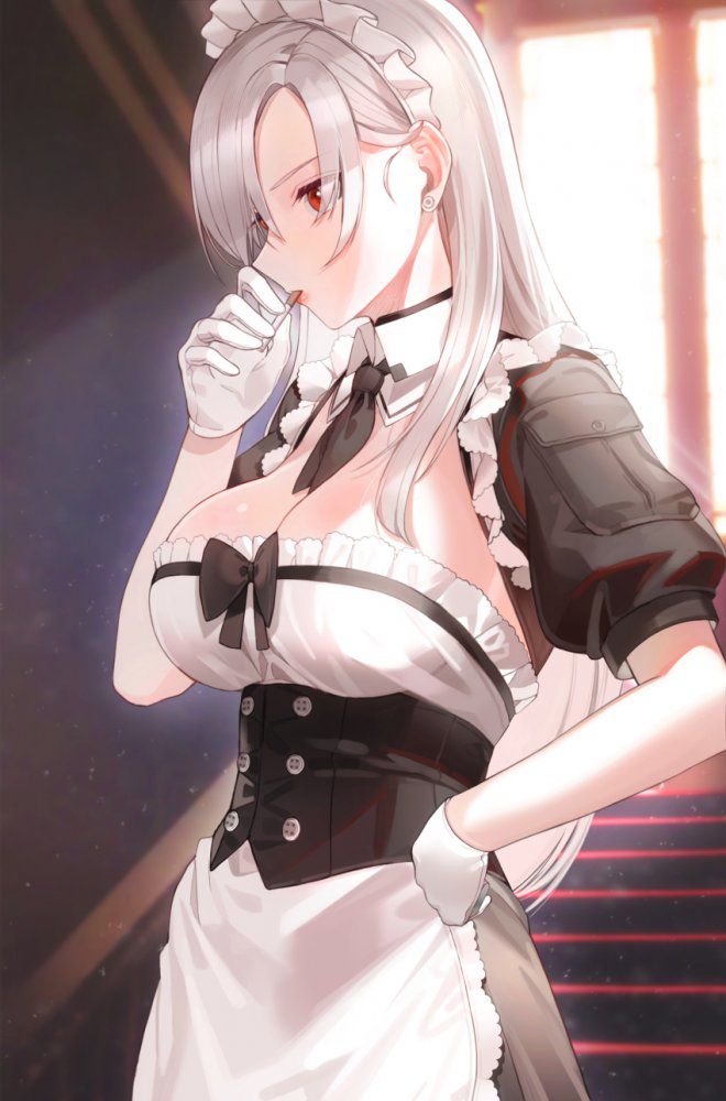 【Secondary】Silver-haired and white-haired girl image Part 29 5