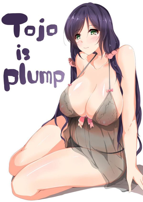 [Love live! : Tojo's rare erotic pictures Part2 34