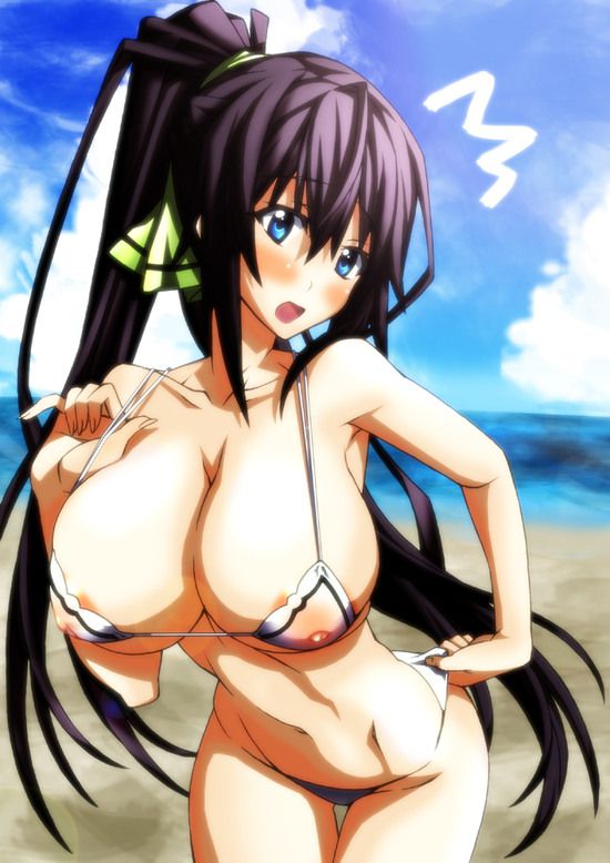 Shino-MoE, broom (infinite Stratos) 335 erotic images 1