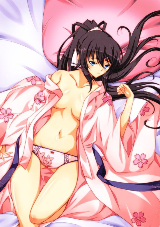 Shino-MoE, broom (infinite Stratos) 335 erotic images 14