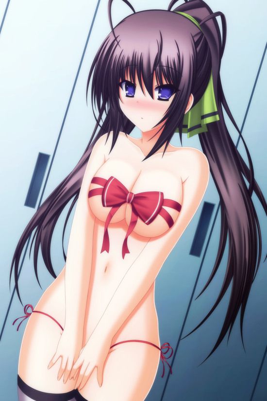 Shino-MoE, broom (infinite Stratos) 335 erotic images 17