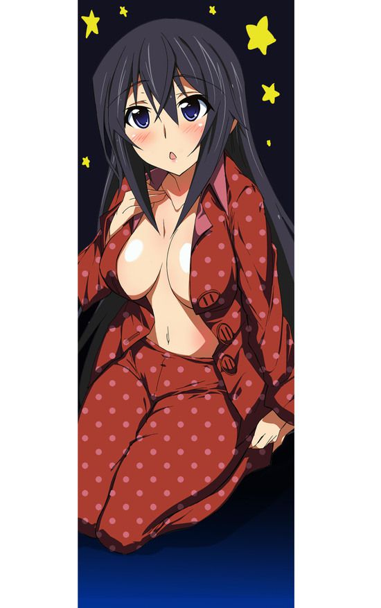 Shino-MoE, broom (infinite Stratos) 335 erotic images 24