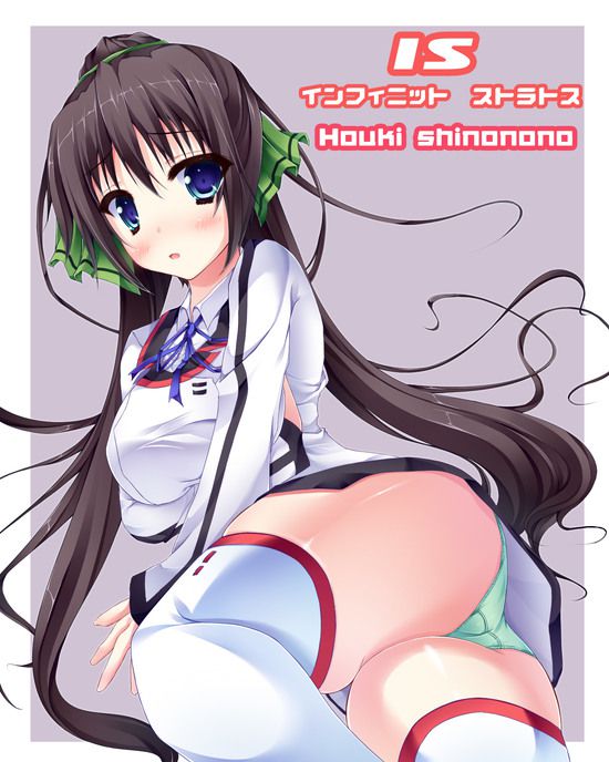 Shino-MoE, broom (infinite Stratos) 335 erotic images 25