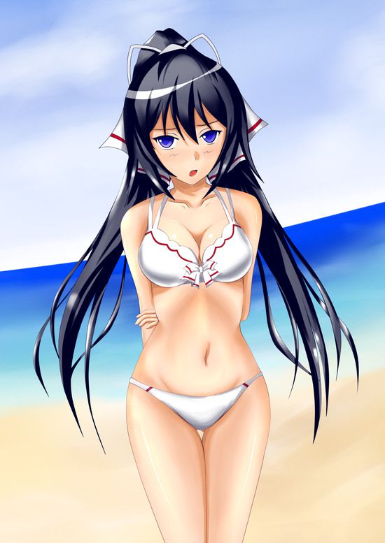 Shino-MoE, broom (infinite Stratos) 335 erotic images 28