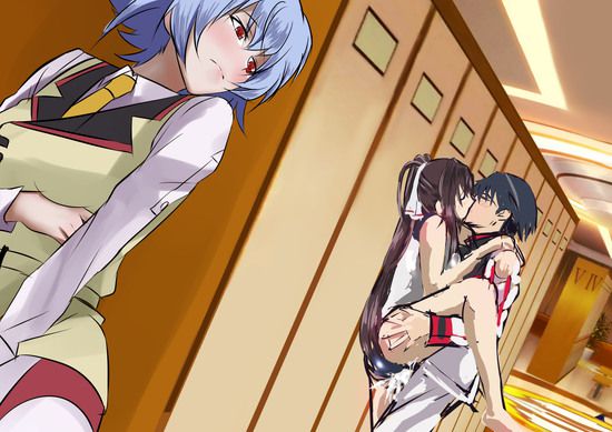 Shino-MoE, broom (infinite Stratos) 335 erotic images 3